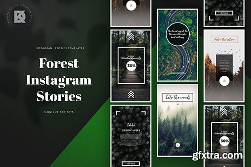 Forest Instagram Stories
