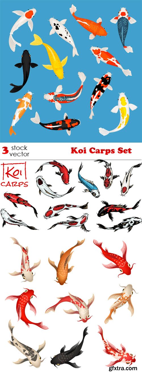 Vectors - Koi Carps Set