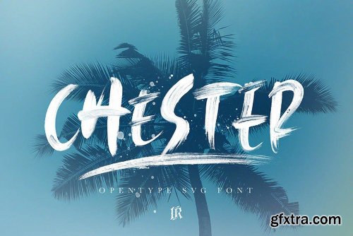 DealJumbo Handwritten Font Collection