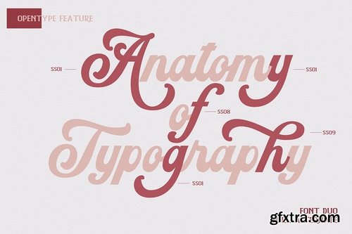 Sunday Sugar Script Font