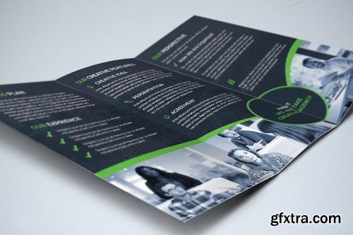 Trifold Business Brochure