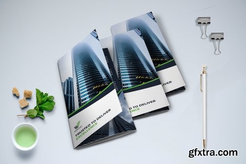 Trifold Business Brochure