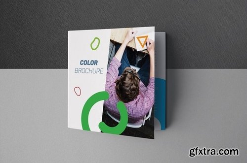 Color Brochure