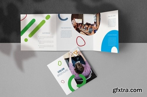 Color Brochure