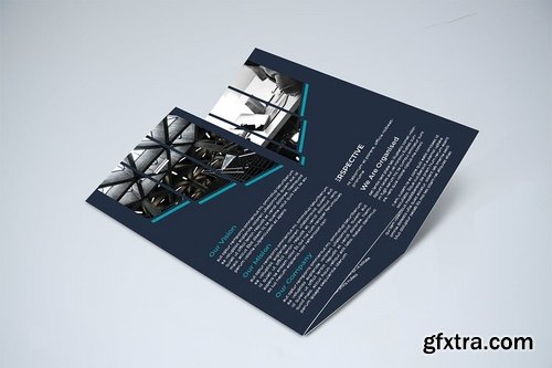 Trifold Brochure