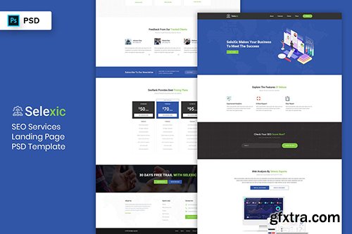 SEO Service - Landing Page PSD Template
