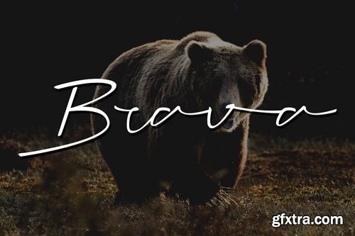 Hofsen Brava Script Font