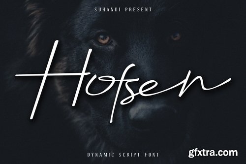 Hofsen Brava Script Font