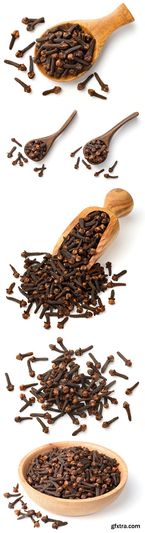 Dried Cloves Isolated - 6xJPGs