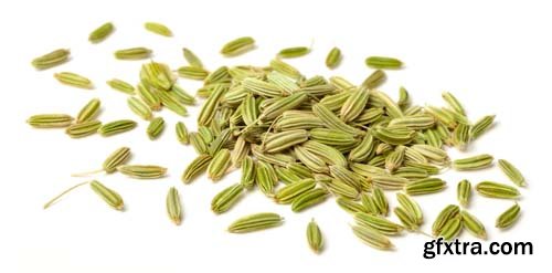 Dried Fennel Seeds Isolated - 6xJPGs