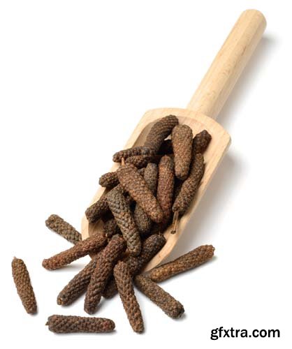 Dried Long Pepper Isolated - 6xJPGs