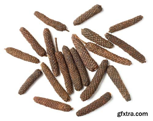 Dried Long Pepper Isolated - 6xJPGs