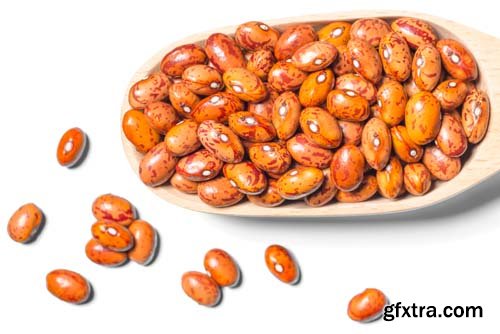 Dried Pinto Beans Isolated - 7xJPGs