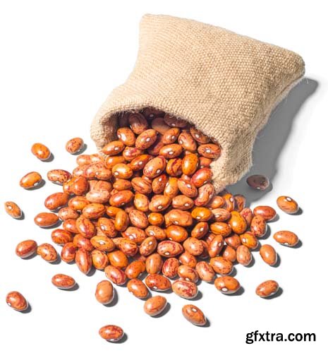 Dried Pinto Beans Isolated - 7xJPGs