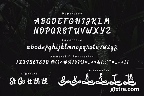 Goteru - Eyecatching Script Font