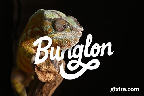 Goteru - Eyecatching Script Font