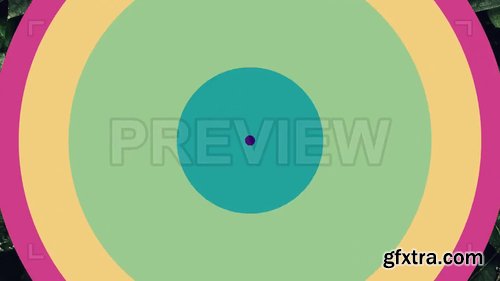 14 Circles Shape Transitions 238675