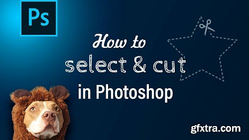 How to select and cut in Photoshop