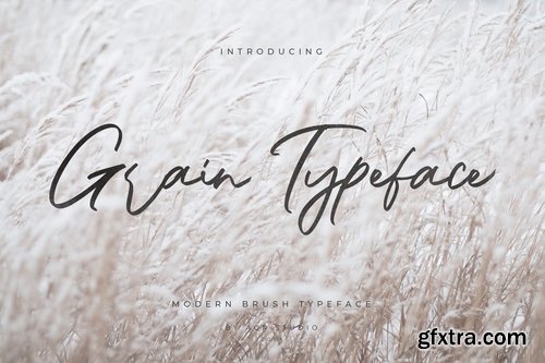 Grain Typeface