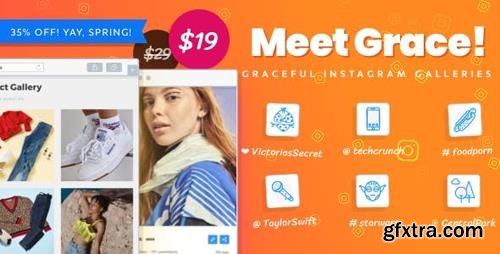 CodeCanyon - Instagram Feed Gallery v1.1.11 - Grace for WordPress - 20429911