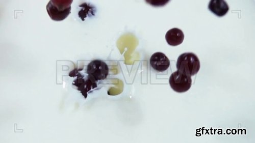 Cranberries And Milk 225085