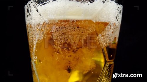 Fresh Beer In Glass 225117