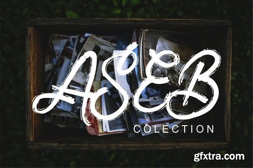 ZeBrush | Brush Script Font