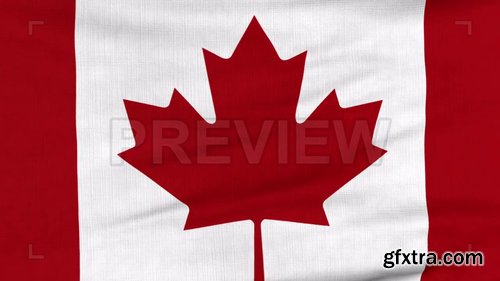 Flag Of Canada Flying 213831