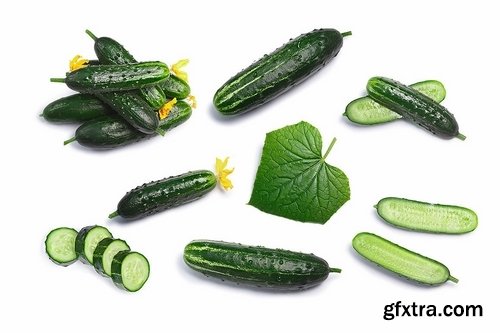 Cucumbers top-down