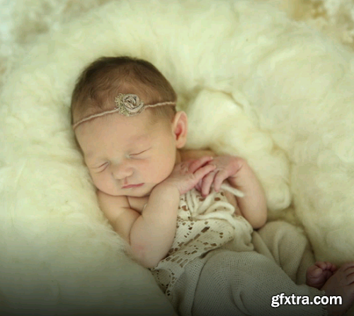 Live Shoot - Newborn With Props Shaggy Nest by Ana Brandt
