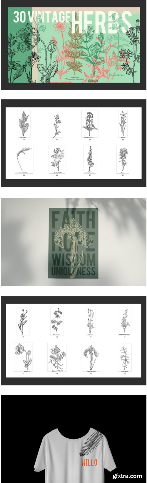 Vintage Herbs Set of 30 1474153