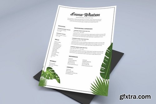Resume CV Template Pro