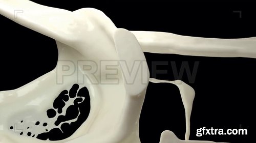 The Milk Flow 219178