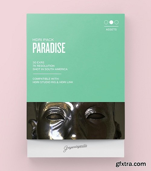 Greyscale Gorilla - HDRI Pack Paradise