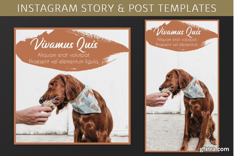 Instagram Post Story Templates GFxtra
