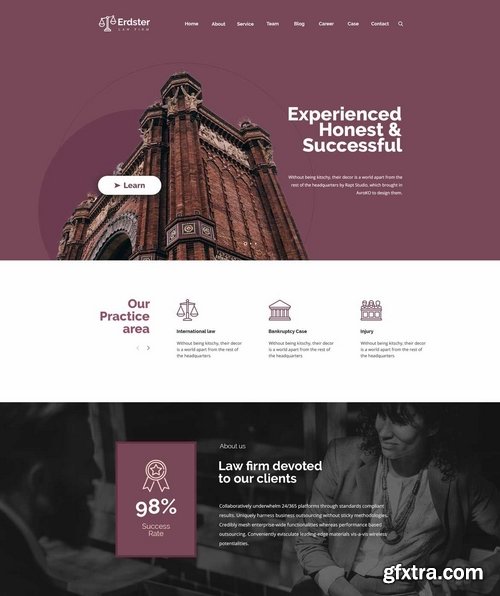Erdster Law Firm and Advocacy Design Template