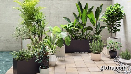 Maxtree - Plant Models Vol 19 Maxtree - Plant Models Vol 19