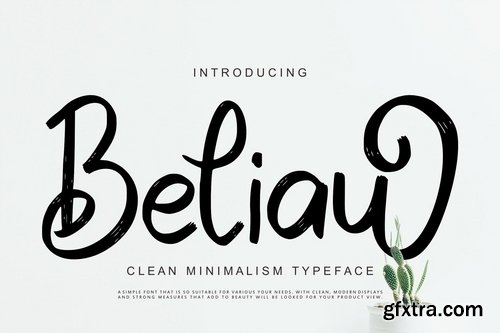 Beliau Clean Minimalism Typeface