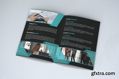 Bifold Brochure