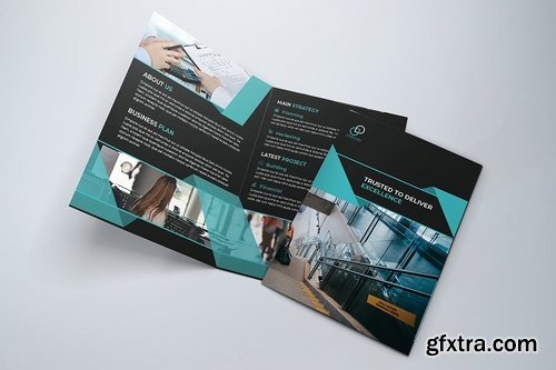Bifold Brochure