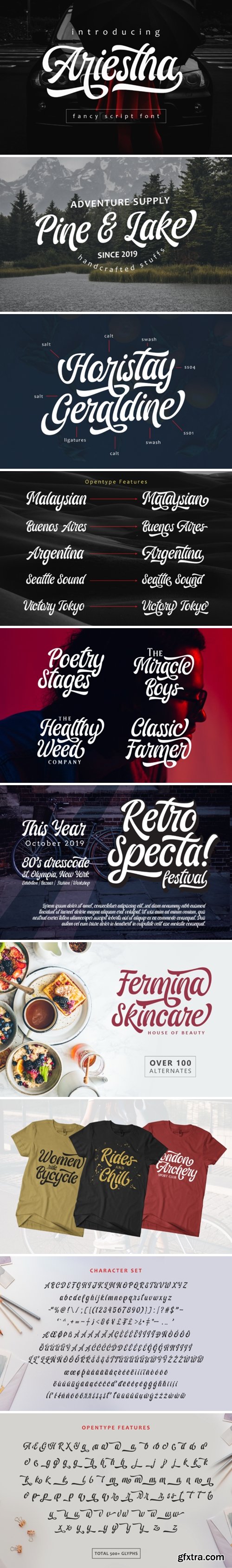 Fontbundles - Ariestha Script 218082