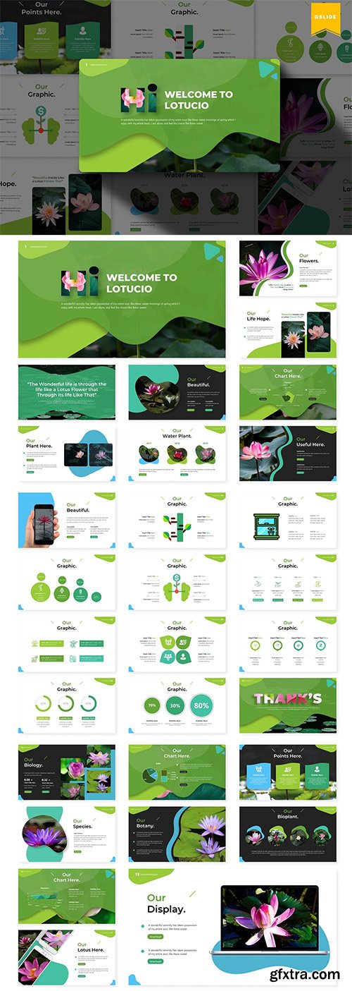 Lotucio | Powerpoint, Keynote and Google Slides Templates