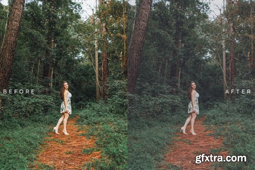 Toneless Photoshop Action