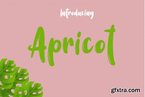 LemonChiffon FontBundle