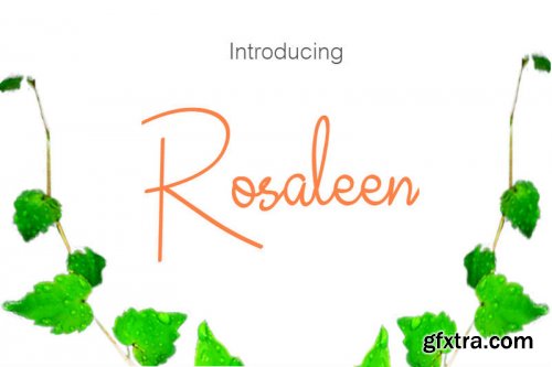 LemonChiffon FontBundle