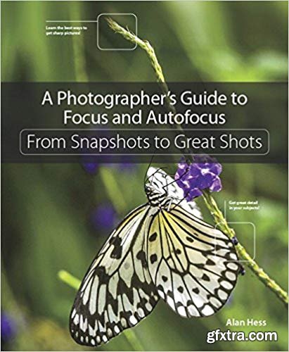 A Photographer’s Guide to Focus and Autofocus: From Snapshots to Great Shots