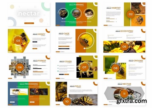 Nectar - Powerpoint Google Slides and Keynote Templates