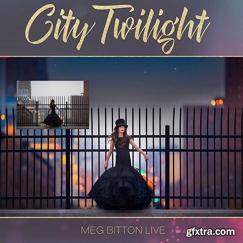 Meg Bitton Photography — CITY TWILIGHT