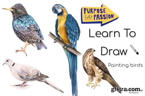 Learn how to draw | Painting birds | Parrots - Step By Step | Digital Illustrations