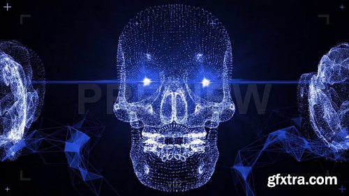 Connectable VJ Skulls Widescreen Pack 229133